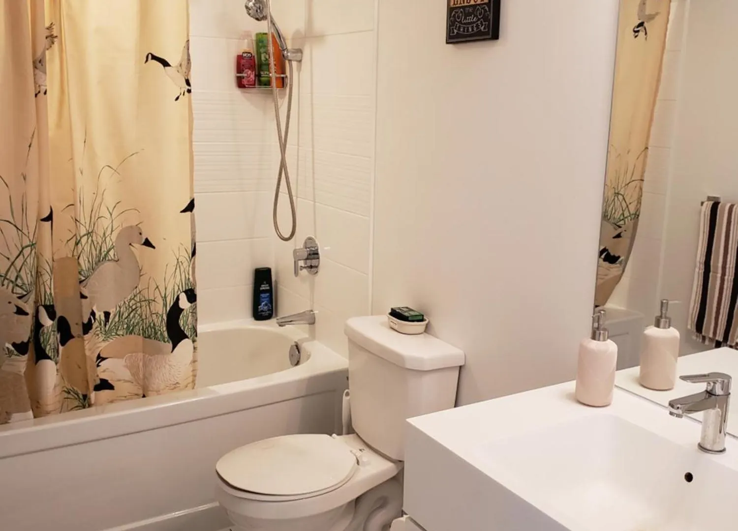 Downtown Toronto Condo, Free Indoor Parking With Amazing View